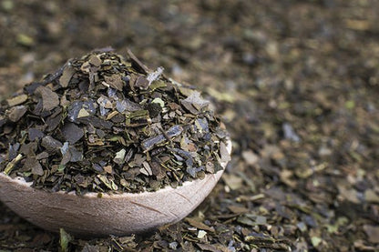 Guayusa Tea - Lemon Lily Organic Tea